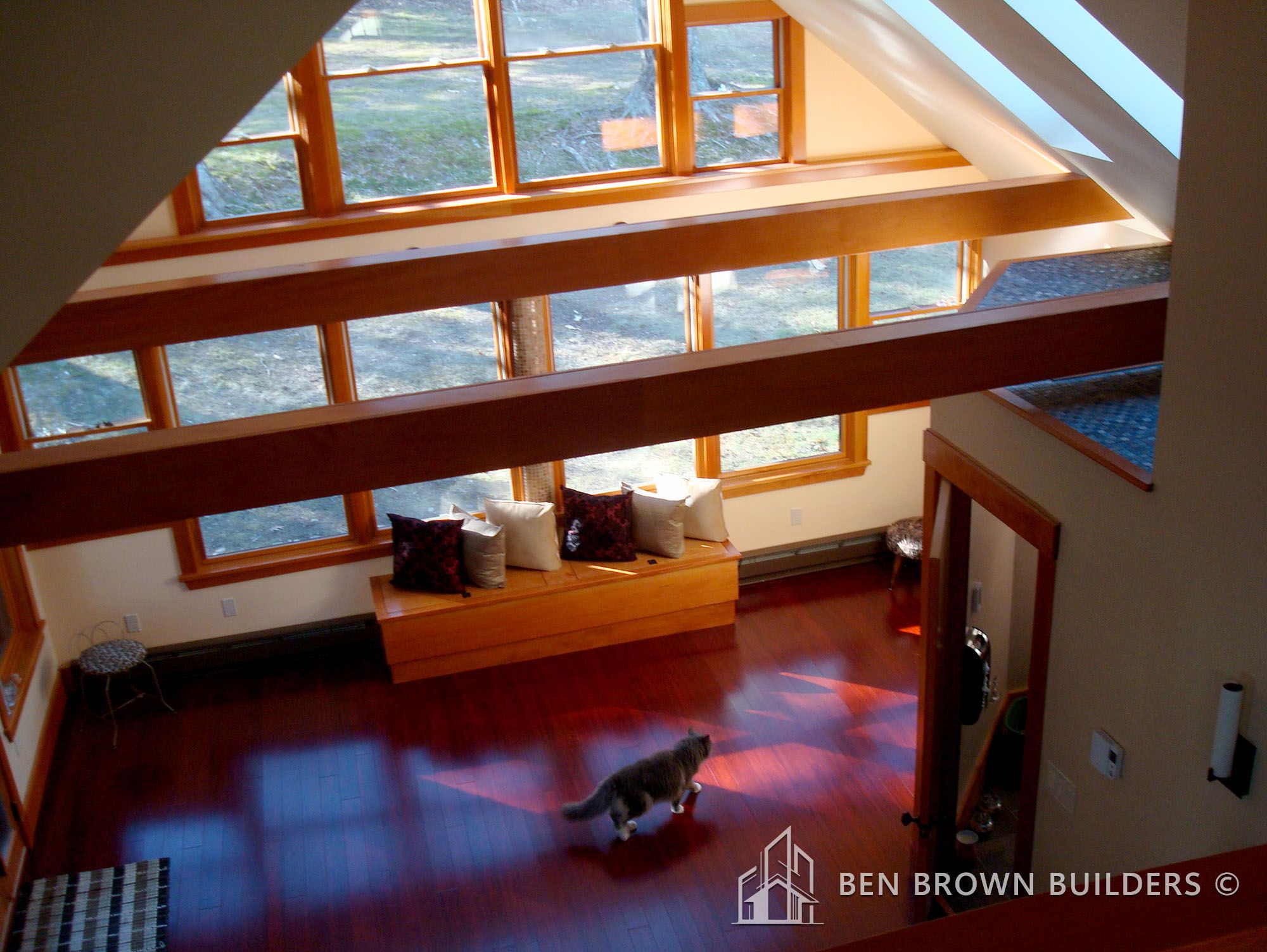 Interior view of a modern house with large windows, wooden beams, glossy hardwood floors, and a cat walking through.
